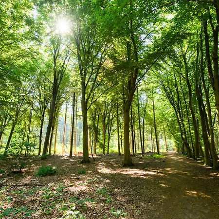 וילה Xxl House With Free Parking & 3 Bedrooms *