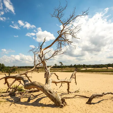 ヴィラ Xxl House With Free Parking & 3 Bedrooms