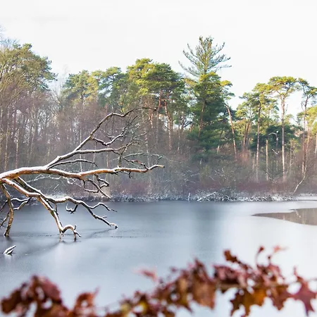 Xxl House With Free Parking & 3 Bedrooms * ティルブルグ