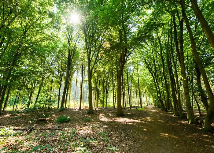 Villa Xxl House With Free Parking & 3 Bedrooms *