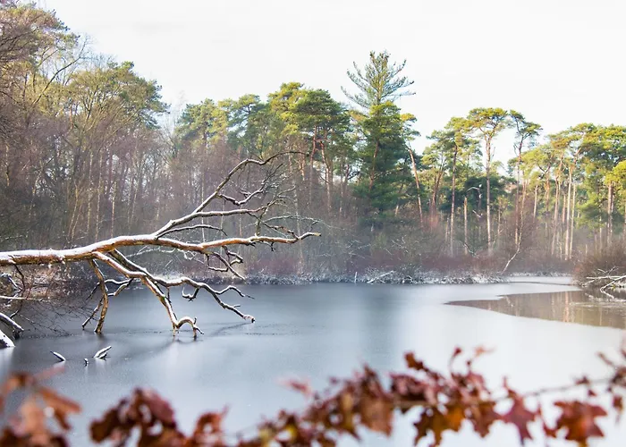 Xxl House With Free Parking & 3 Bedrooms * Tilburg