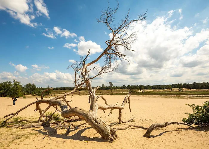 Vila Xxl House With Free Parking & 3 Bedrooms